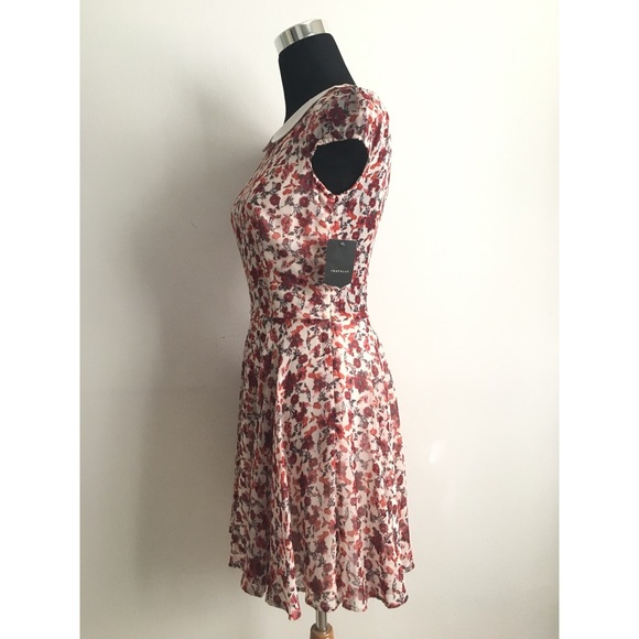SOLD ✔️ NWT Poplin Collar Floral Dress from ZARA - Picture 3 of 8